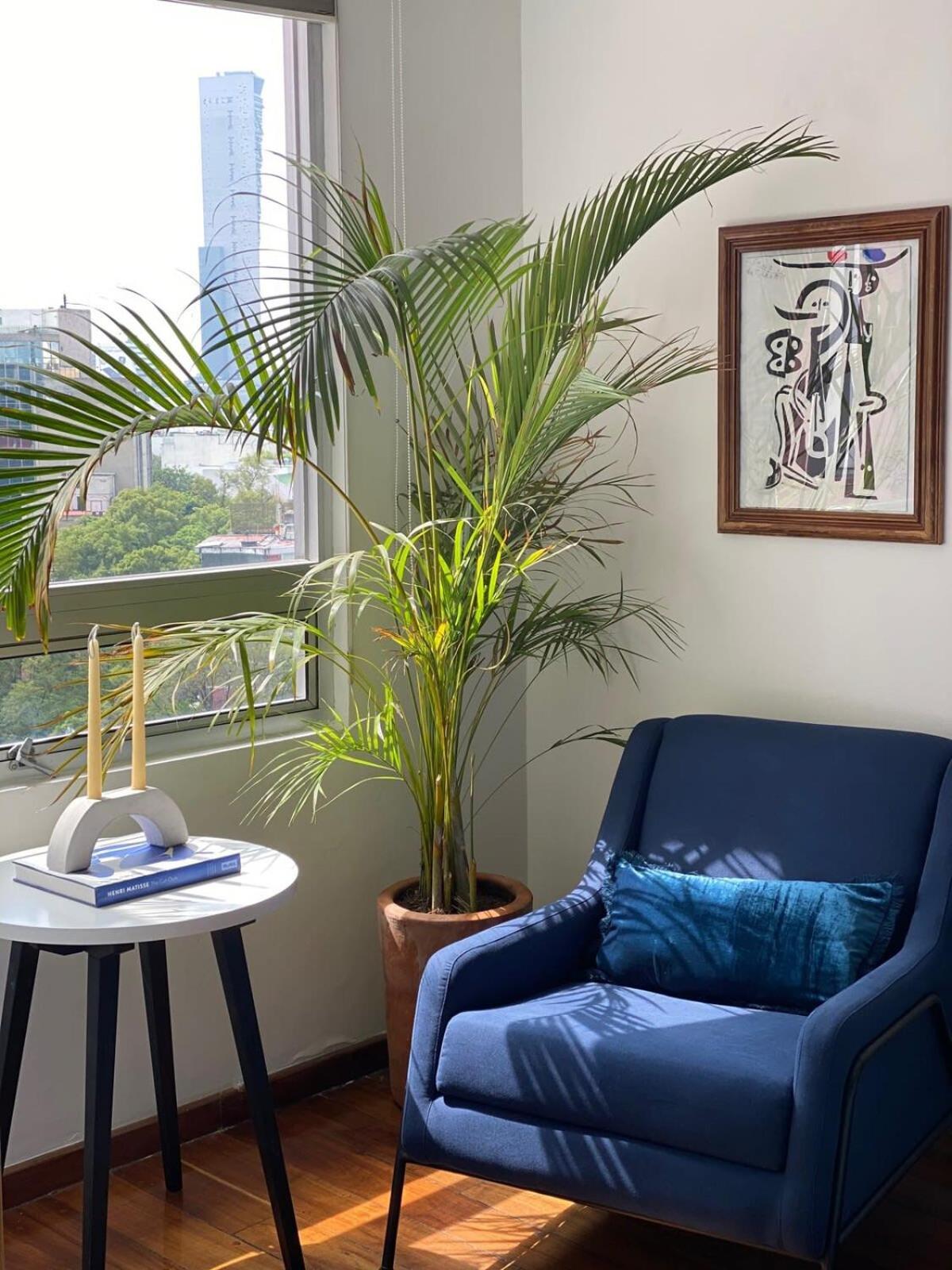 322ph Luxury Penthouse With Stunning Views, Sleeps 8 - Polanco *